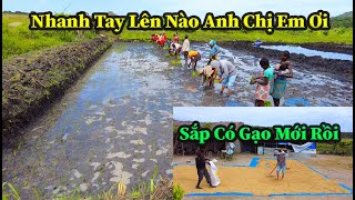 Hùng Kaka II Tiếp Tục Cấy Vụ Lúa Mới Đúng Với Câu Nói \