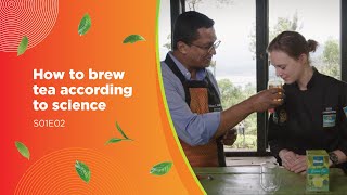 How to brew the perfect cup of tea in 3 minutes, according to science – S01E02