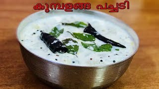 കുമ്പളങ്ങ പച്ചടി || Sadya special Kumbalanga Pachadi || Nishi's Kitchen || Recipe - 227