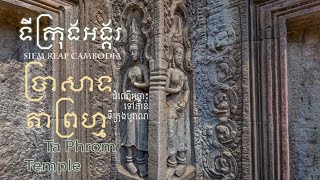 ប្រាសាទតាព្រហ្ម_ក្រុងអង្គរសៀមរាប|Ta Prohm Temple#rinasodasok#siemreap#cambodia#youtube#2022