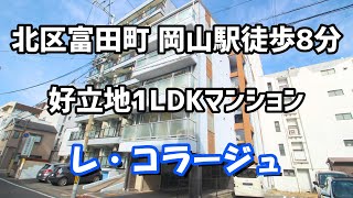 北区富田町、岡山駅徒歩8分、好立地1LDKマンション【レ・コラージュ】