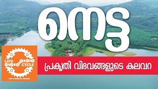 നെട്ട: പ്രകൃതി,സൈക്കിൾ, ഭക്ഷണം, അന്തസ്സ്|A funny  ride to NETTA | Life Cycle | tvm | EPIC 12