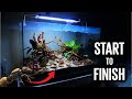 The Golden Weaver Ant Vivarium | START TO FINISH | Tutorial