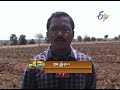 sheep manure to improve organic matter in fields జీవాల ఎరువు