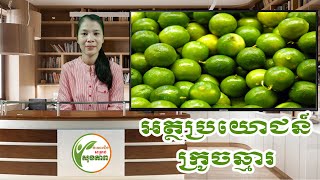 អត្ថប្រយោជន៍ក្រូចឆ្មារ | Benefits of Lemon | ចំណេះដឹងសម្រាប់សុខភាព