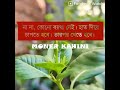 জোর করে ভাবির আদর।।।romantic vhalobashar golpo...moner kahini...