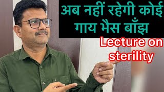 Sterility in cow & buffalo l dr umar khan