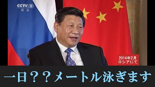 習近平主席、しれっと体力自慢 【だいぶ盛ってる疑惑】 中日双语字幕