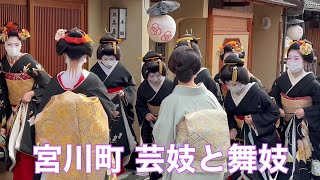 京都 宮川町の舞妓と芸妓 Geiko and Maiko in Miyagawacho,Kyoto 【4K】2023