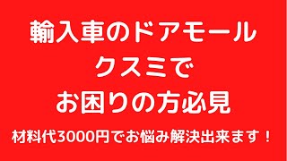 材料代3000円で ベンツのドアモールの クスミ落とし！