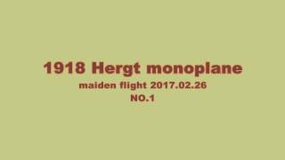 1918 Hergt monoplane maiden flight