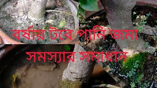 বর্ষকালে টবে পানি জমা সমস্যার সমাধান| টবে আর পানি জমবে না|