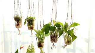 Recycling disposable cups into hanging plants