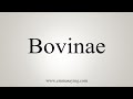 How To Say Bovinae