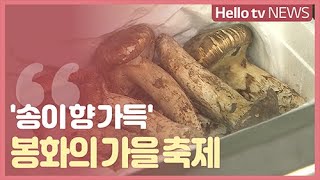 '송이 맛보고 문화도 즐기고'  가을 축제 풍성한 봉화군