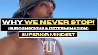 Superior Mindset: Why We NEVER STOP!!! | Sheikhy Chic