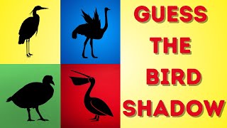 Guess the BIRDS from Their Shadow | Quiz Game for Kids, Preschoolers | Guess The Birds | Birds Quiz