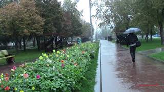 В паутине дождя капли вальс танцевали Стихи  Ирена Буланова  In a web of rain drops a waltz danced