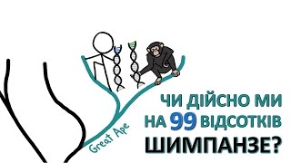 Чи дійсно ми на 99 відсотків шимпанзе [MinuteEarth]