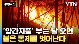 [자막뉴스] 불씨 하나가 동해안 불구덩이 만들 수도...위험 도사리는 3월 / YTN