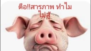 รอฟังคำพิพากษา ตือโป๊ยไก่ จะเสียถึง 300,000 บาทหรือไม่?