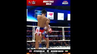 แทงเข่าอย่างกับยิงปืนใหญ่! โดนทีท้องแตก | Muay Thai Super Champ