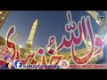 Ya Rasool ALLAH Khuz Biyadi | Hoon Suwali Apka | New Naat 2017 | Allama Hafiz Bilal Qadri