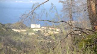 Field for sale in Kassandra, Halkidiki (Property ID: 583)