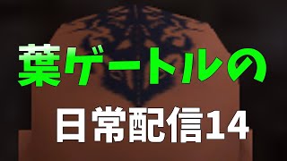 FF11 葉ゲートルの日常配信１４　とりあえずソーティ行ってきます！地下に〇〇ライトを探しに行こう！＋珍妙３～９周り