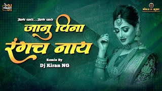 Janu Vina Rangach Nahi (Remix) - Dj Kiran NG With Dj Pawan Vfx In International Music Festival Video