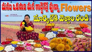 మన గార్డెన్లో Flower మార్కెట్ కి వెళ్దాం రండి ! Flower Harvest In Terrace Garden #garden #flowers