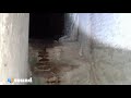 graywolf exploring pei palace real ghost video black shadow caught