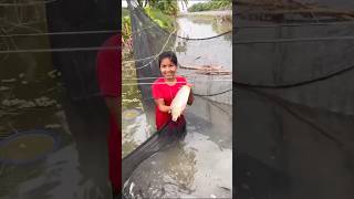 শেষ এতো মাছ ভেরিতে😱#video  #viralvideo #resin