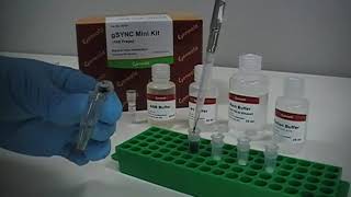 Genomic DNA Extraction Kit Whole Blood