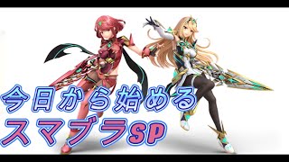 今日から始める初心者の特訓52日目【スマブラSP】