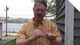 How to Rig a Plastic Shad - The Perfect and Easy Way