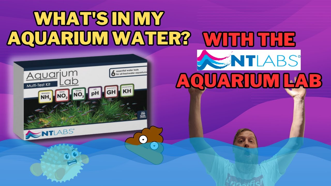 How To Test Your Water Complete Step By Step Guide Youtube