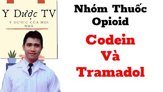 Nhóm thuốc giảm đau opioid | Giảm đau tramadol, Giảm đau codein | Y Dược TV