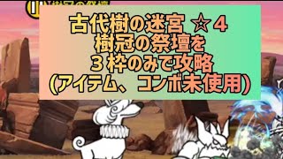 古代樹の迷宮 ☆４ 樹冠の祭壇を３枠のみで攻略(アイテム、コンボ未使用)【にゃんこ大戦争】