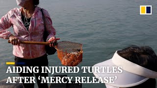 ‘Mercy release’ could be dangerous to freed animals and local environment