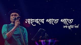Nahorore Pate Pate :Assamese hit bihu song Zubeen Garg 2022