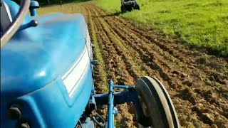 Cultivating Corn - Ford 3000