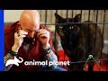 Jackson Gets Emotional At Cat's Mind-Blowing Transformation | My Cat From Hell