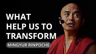 What Helps Us to Transform - teaching by Mingyur Rinpoche