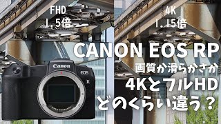 【4KかFHDか】EOS RPの動画性能を改めて検証【画質比較】