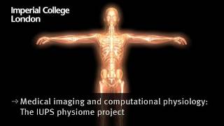 Medical imaging and computational physiology: The IUPS physiome project