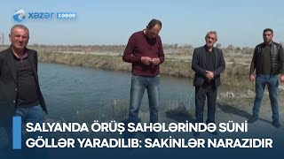 Salyanda örüş sahələrində süni göllər yaradılıb - sakinlər narazıdır