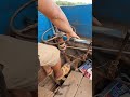 boat ridding in the river shorts shortsvideo shortsfeed ironworking