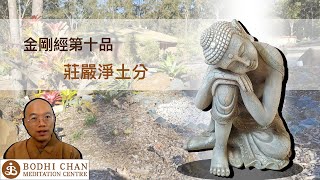 【金剛經第10品】莊嚴淨土分 | 完整版 | 慧全法師 Ozmonk