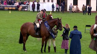 Pencampwriaeth Ceffylau Hela i'w Marchogaeth | Ridden Hunter Championship